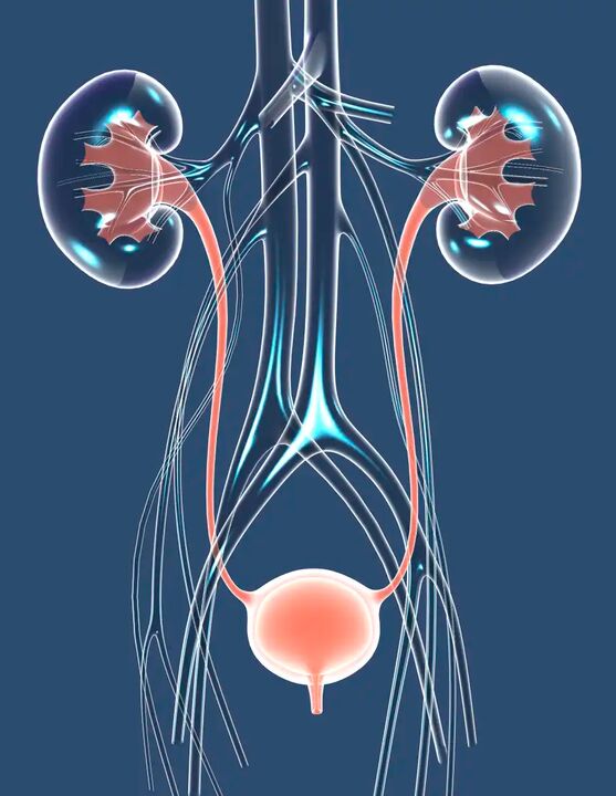 Υγιή αρσενική υγεία εικονογράφηση
